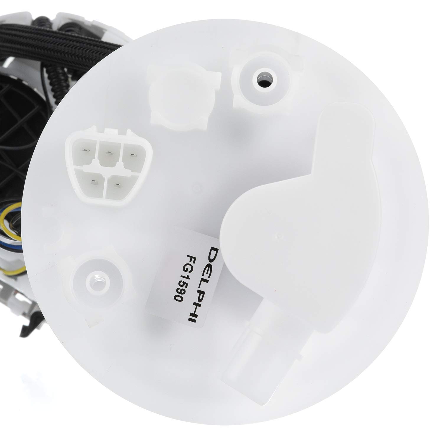 Amazon.com: Delphi FG1590 Fuel Module : Automotive