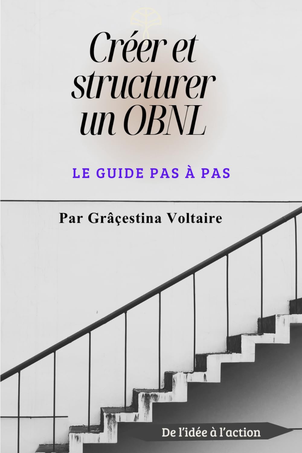 Créer et structurer un OBNL: Le guide pas à pas