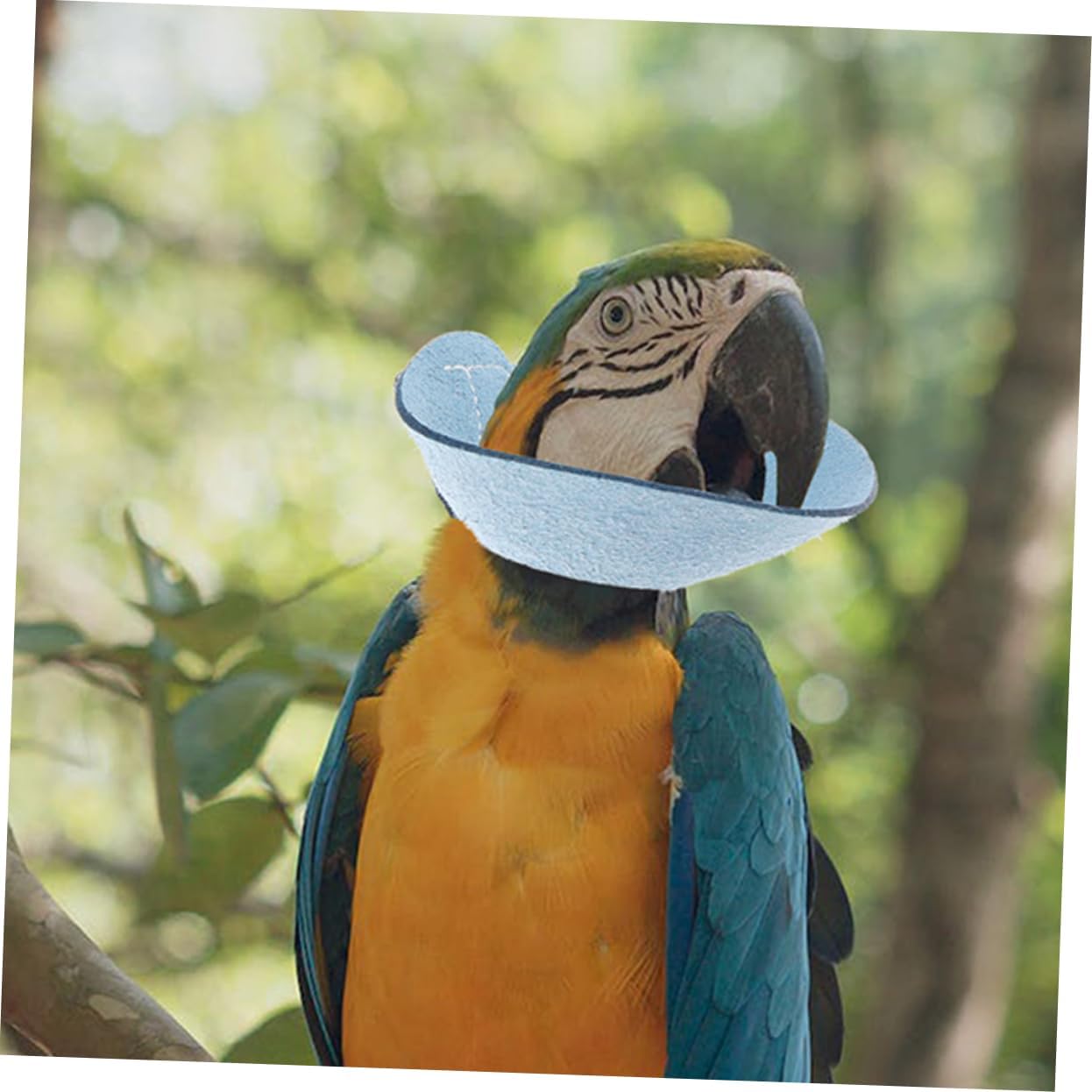 Abaodam Parrot Protective Collar -Pecking for Birds Soft and Comfortable Design Easy to Wear for Injury Floral