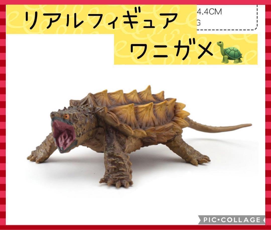 Amazon.co.jp: ワニガメ フィギュア リアル 動物 亀 観賞用 PVC 茶色