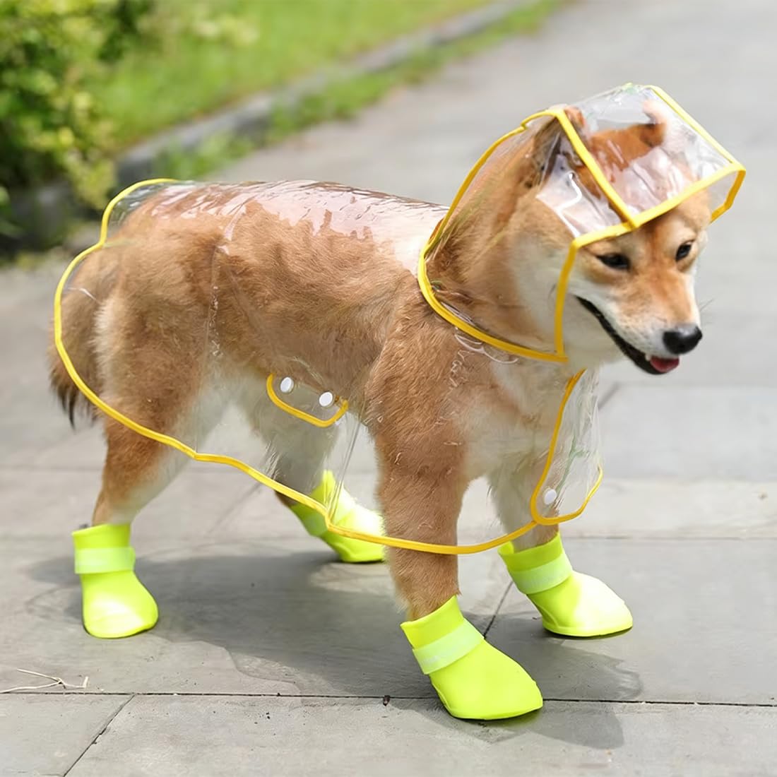 Pet Raincoat for Small Medium Dogs, Transparent Waterproof Dog Raincoat with Hood, Easy to Wear Rain Poncho with Snap Buttons for Puppy Outdoor Walking (Yellow Trim, 3XL)