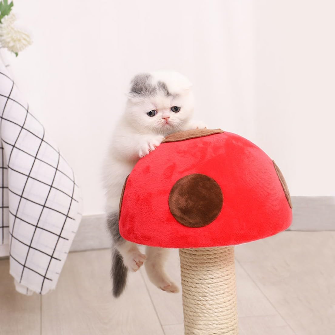 Muebles para Gatos Juguete for Gatos, Marco de Escalada for pequeños, Columna Plataforma Salto for Madera(Red)
