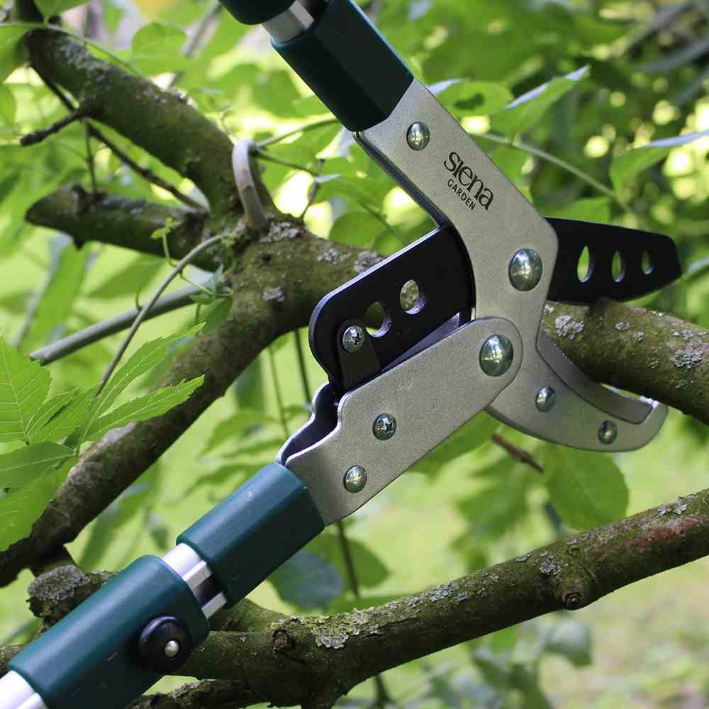 Siena Garden 358328 - Cesoie telescopiche a Incudine, Professionali, in Alluminio