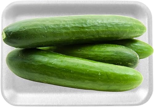 Miniatura 4 de Crafts - Bandejas de espuma, bandeja de espuma blanca para carne, bandejas de mezcla de pintura y tinta, bandeja de alimentos, bandejas de impresión