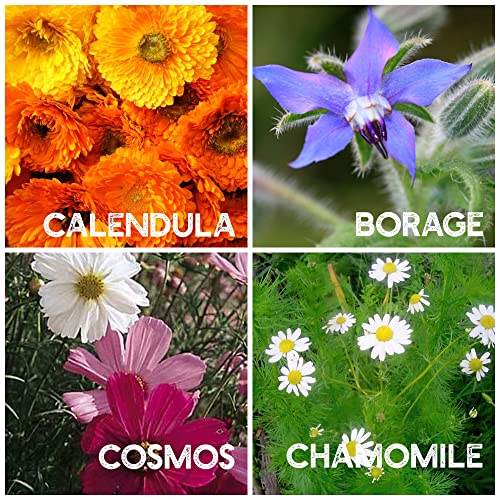 35 Varieties of Flower Seeds for Planting, ~20,000 Seeds - Includes Annuals, Perennials, & Wildflowers - Our Largest Assortment of Bulk Flower Seeds - Premium Flower Garden Seed Collection