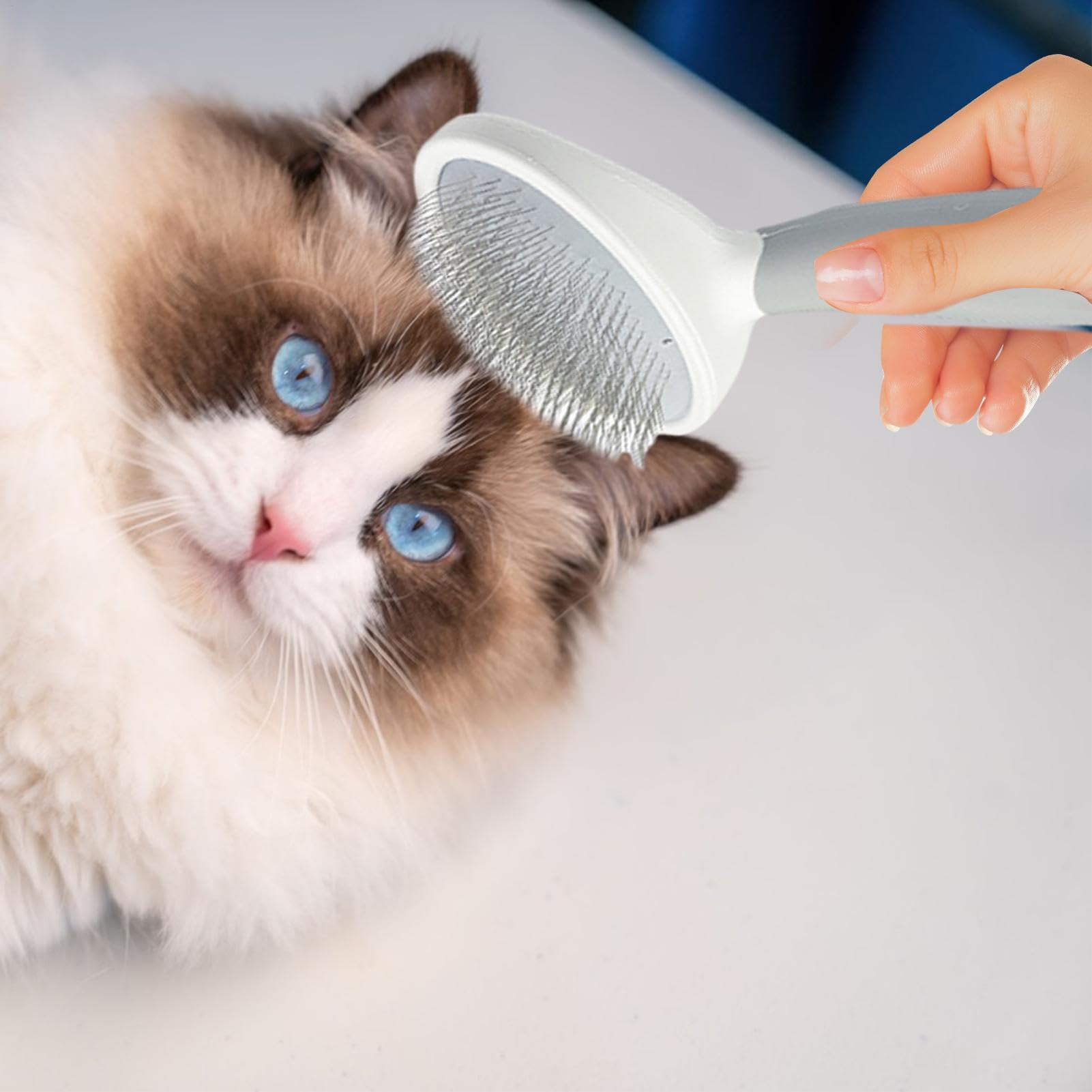 Cepillo para gatos,Cepillo para gatos Cepillo de aseo para mascotas para | Cepillo para quitar pelo de gato, para un cuidado suave y calmante, cepillo suave para gatos y perros
