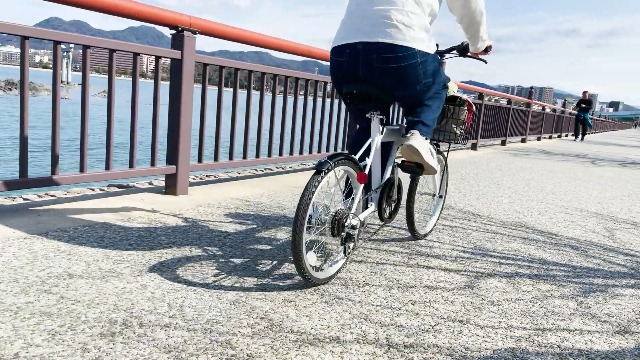 Amazon | ポタリクル 折りたたみ自転車 20インチ ノーパンク パンク 