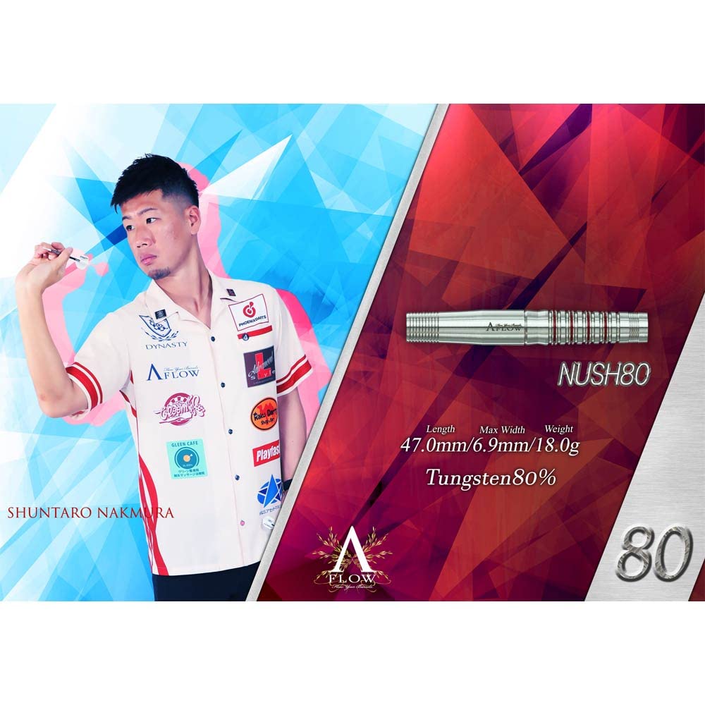 ナッシュ2 　中村俊太郎　選手　モデル ダイナスティー】NUSH2 ナッシュ2 2BA19g 中村俊太郎選手 ダーツ