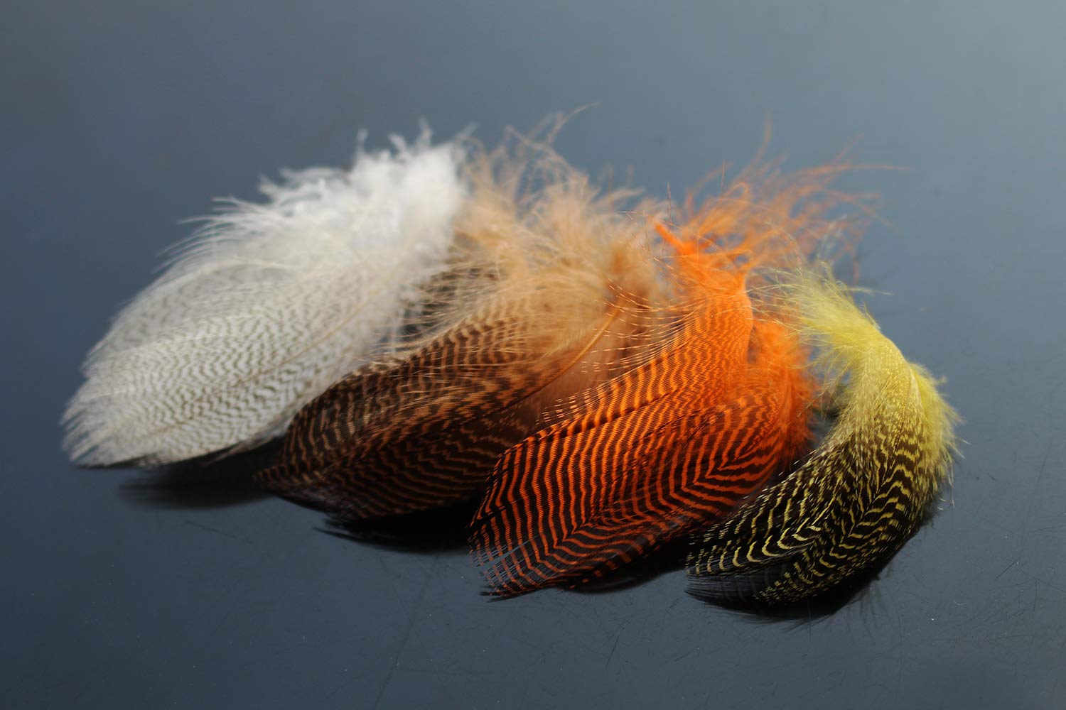 Tigofly 40 pcs/lot 4 Colors Natural Barred Mallard Duck Flank Feathers Wild Goose Hair Wings Fly Tying Materials (Assorted)-image-23