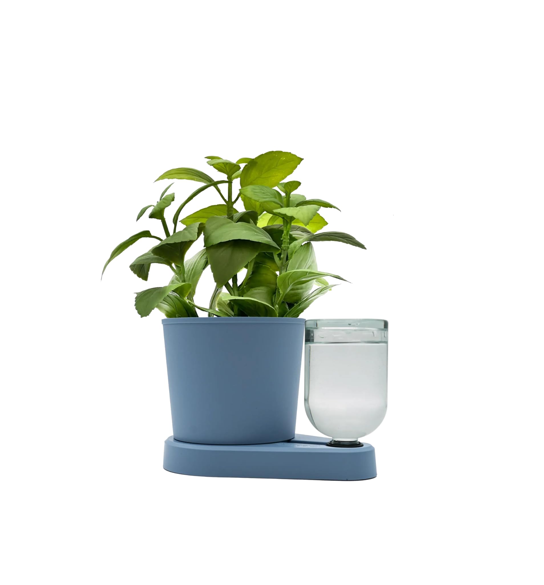 greevi kräuterheld | Selbstbewässernder Pflanztopf für Küchenkräuter | Made in Germany | Kunststoff (Standard/Glasflasche, Pastellblau)