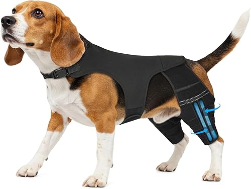Rodillera ajustable para pierna de perro para pierna trasera, rodillera de perro para pierna trasera desgarrada con 4 estabilizadores, soporte de