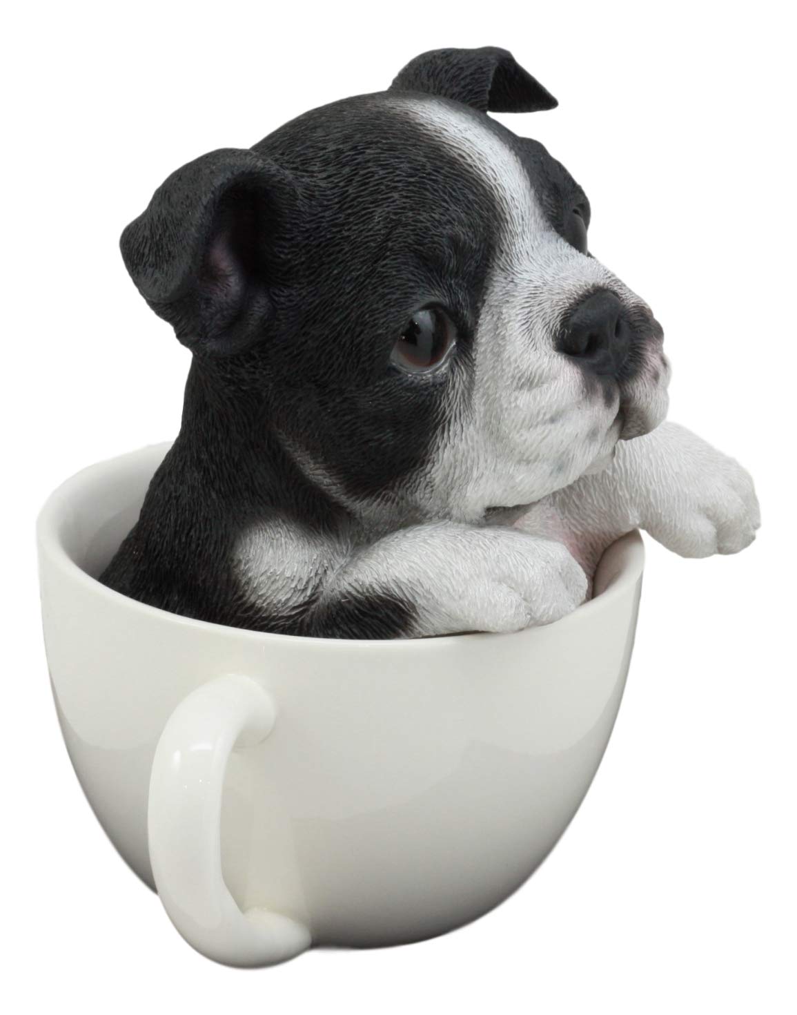 Ebros Realistische Boston Terrier Teetasse Statue 14,6 cm hoch Pet Pal Smoking Gentleman Hunderasse Sammlerstück Harz Dekor Figur mit Glasaugen