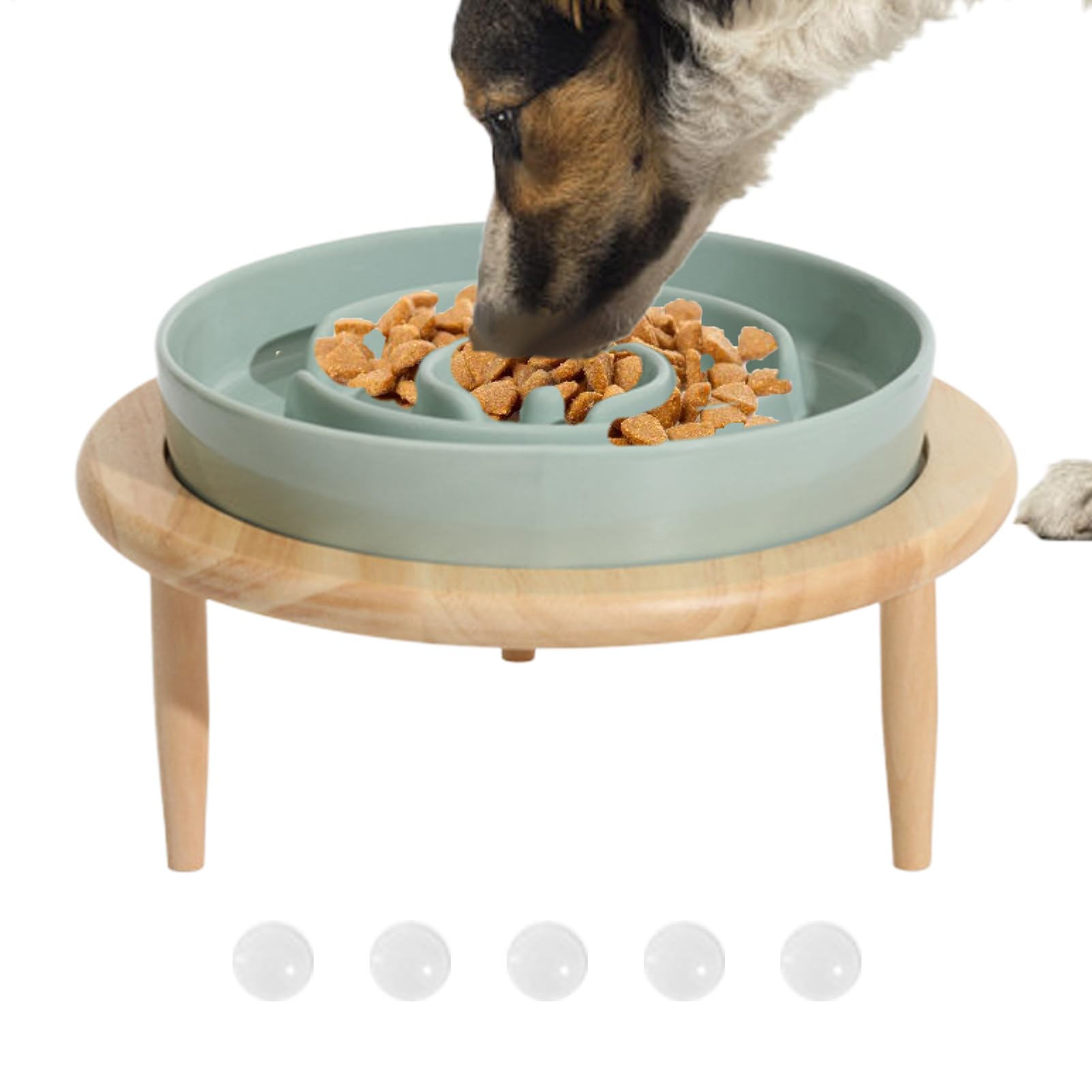 Bol de Mangue Lente pour Chien - Bol en céramique antidérapant avec