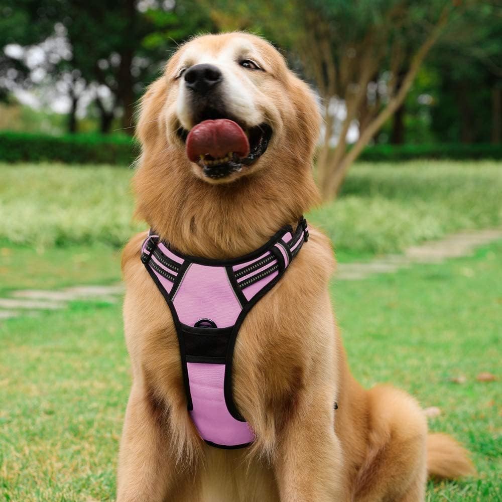 rabbitgoo Dog Harness No Pull with 2 Leash Clips, Adjustable Soft Padded, Reflective Oxford No Choke Pet Vest with Easy Control Handle for Large Dogs, Pink, L