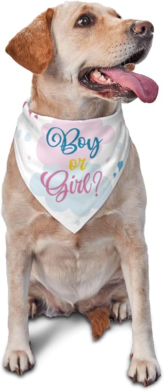Bandana para Cães He Or She What Will It Be? para Revelação de Gênero, Modelo Love