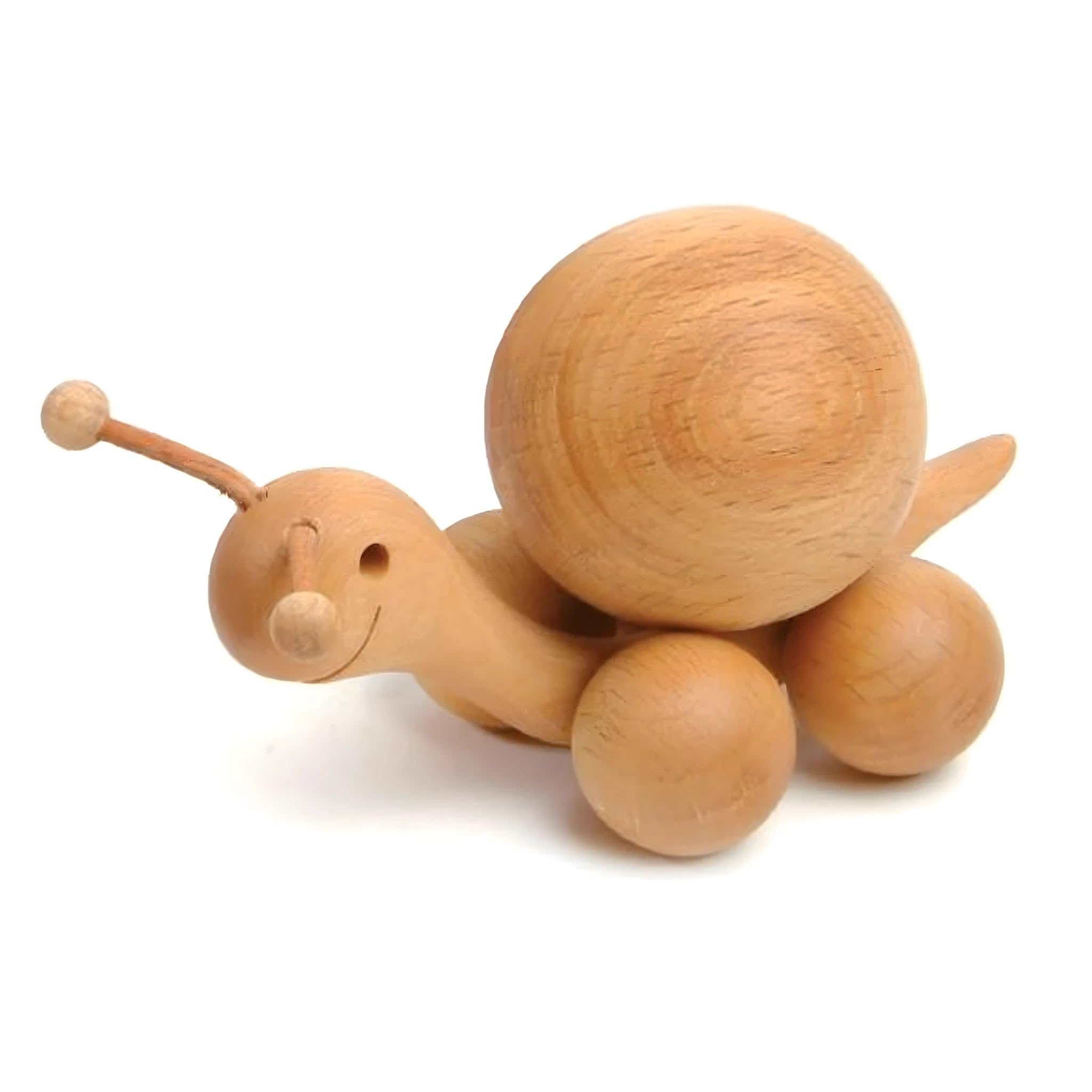 Dolfi Snail Wood 1.5 Inch