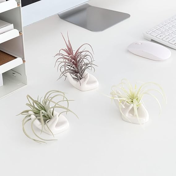 Dahey Mini Air Plant Holder Cute Ceramic Hand Shape Stand Airplants Tillandsia Small Container Pot Plant Decorative Home Decor for Desk Table Shelf, White, 1 Pack (No Plant Included)