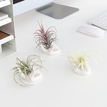 Dahey Mini Air Plant Holder Cute Ceramic Hand Shape Stand Airplants Tillandsia Small Container Pot Plant Decorative Home Decor for Desk Table Shelf, White, 1 Pack (No Plant Included)