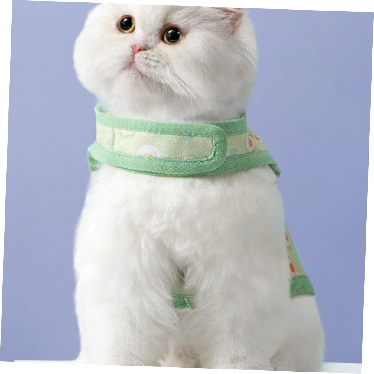 TOYANDONA Cat Vest Harness and Avocado Pattern Leash Set, Breathable Mesh Fabric, Size M for 6-9 Lbs Cats, Adjustable Pet Walking Strap for Outdoor Use