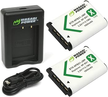 Amazon.com : Wasabi Power NP-BX1 Battery (2-Pack) and Dual USB
