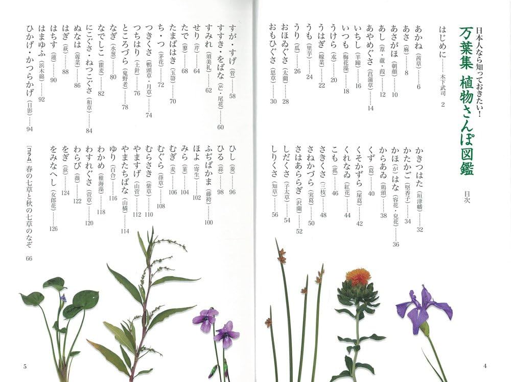 万葉植物文化誌 万葉植物文化誌/木下武司 : bookfanプレミアム - 通販 - Yahoo