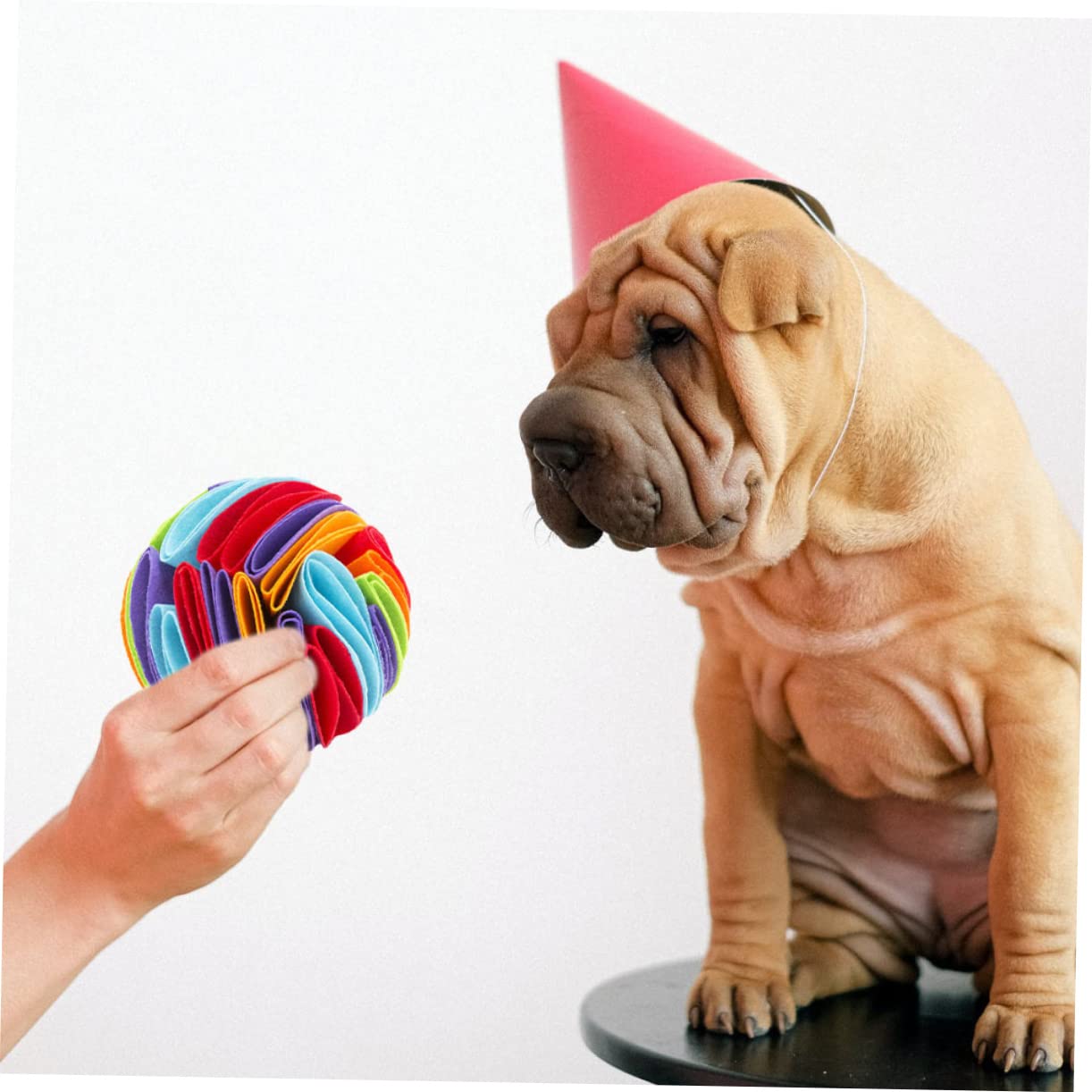 Sosoport 3pièces Jouet à Renifler pour Chien Jouet Interactif pour Animaux pour Chiot Distributeur De Nourriture pour Ennui Et Apprentissage