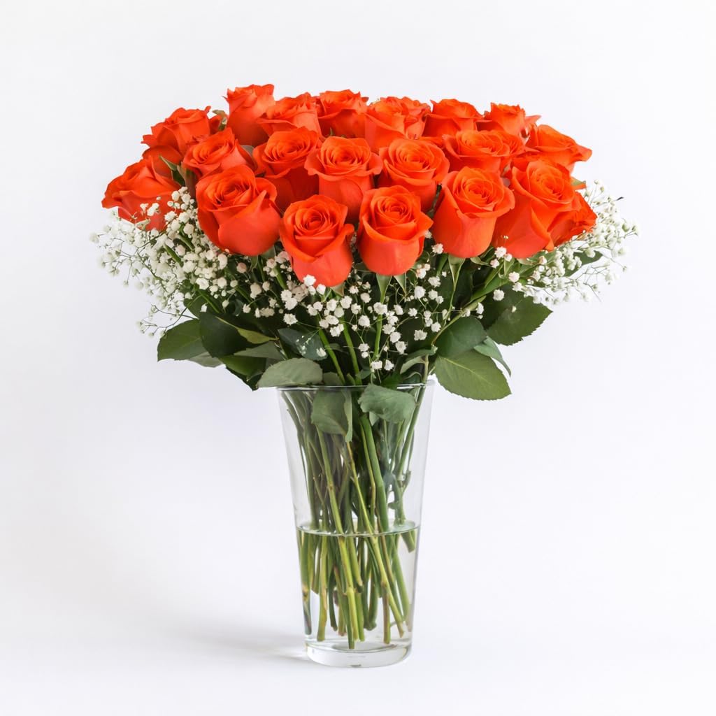 GlobalRose Fresh 2 Dozen Orange Roses & Fillers - Fresh Flowers Bouquet for Valentine's Day