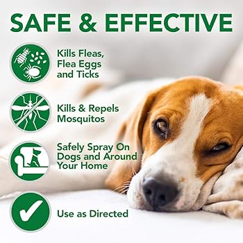 pet safe flea treatment for house