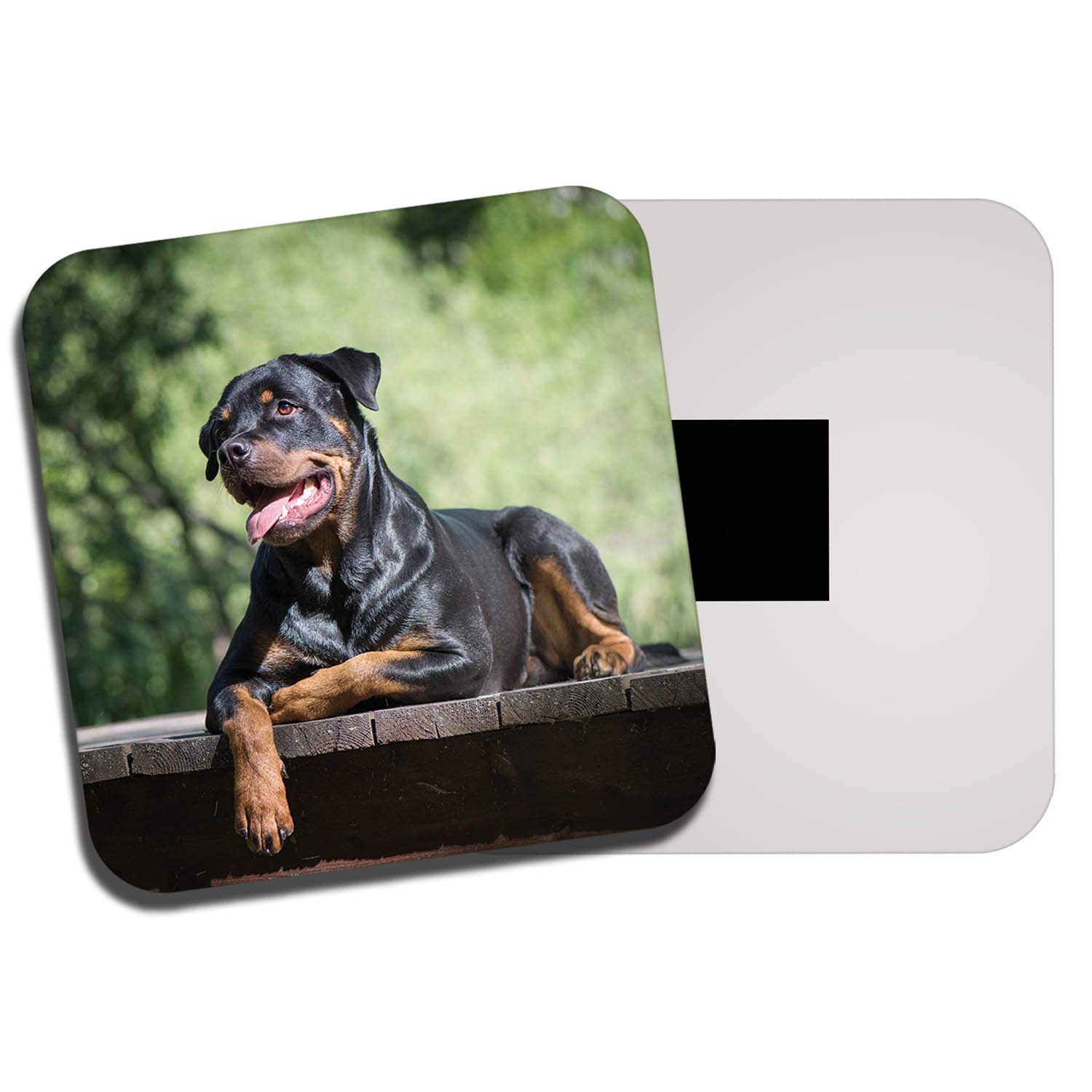 Destinationvinyl Multicolor 1 X Beautiful Rottweiler Fridge Magnet - Guard Dog Puppy Rottie Cute Fun #8629