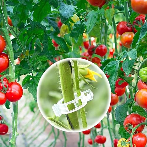 Miniatura 3 de Clips de soporte para plantas, clips de jardín reutilizables, clips de plástico para tomate, vid y uva para cuerdas, clips para plantas trepadoras,