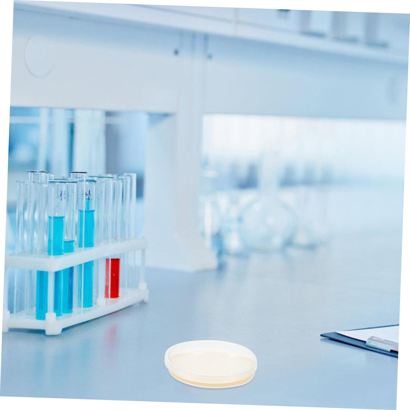 SECFOU Piastre di Petri in Plastica Agar Nutriente 20 Pezzi 9 Cm Coperchi Ermetici per Colture Stabili di Funghi e Cellule Uso Laboratoriale e Ricerca