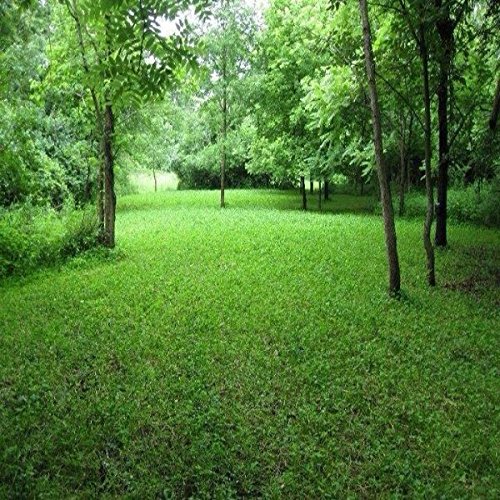 Antler King Game Changer Clover Mix #TOP3