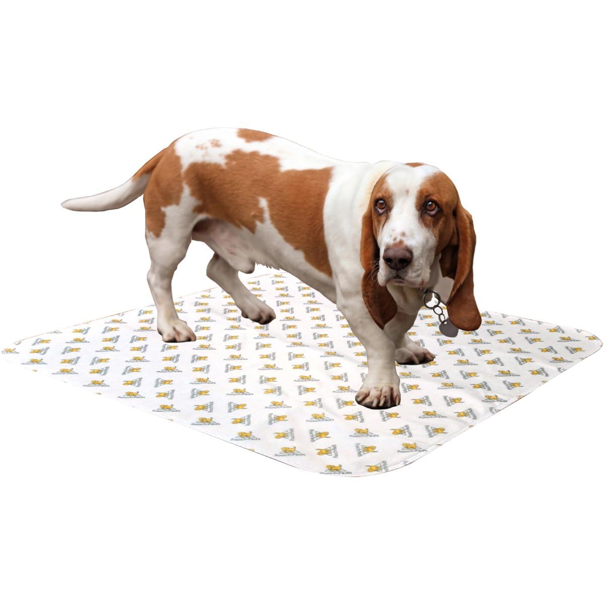 PoochPad Original Washable, Reusable Potty Pad (Medium, Pack of 3) - Unmatched Odor Control, Leakproof Puppy Training Pee Pad