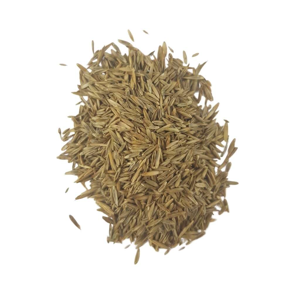 Semillas Pack de Césped Resistente 5kg