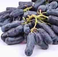 Grape SEED 1〜26 / 12〜26 61dmU9FgyIL._AC_SY200_QL15_.jpg