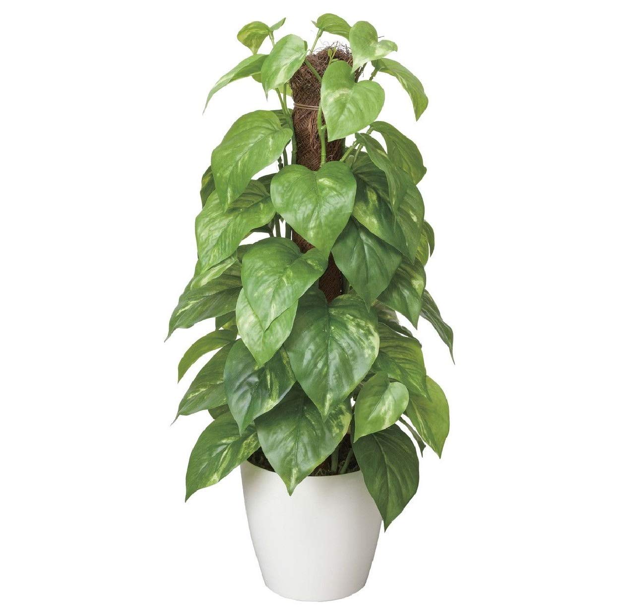 Amazon｜光の楽園 フレッシュポールポトス 382A50｜人工観葉植物