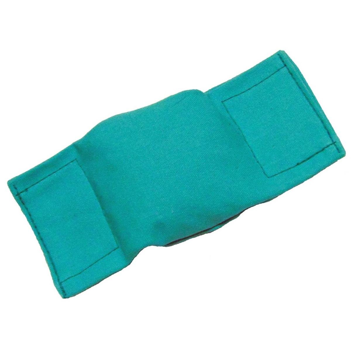 Bisley Beanbag Dog Puppy Dummy Green