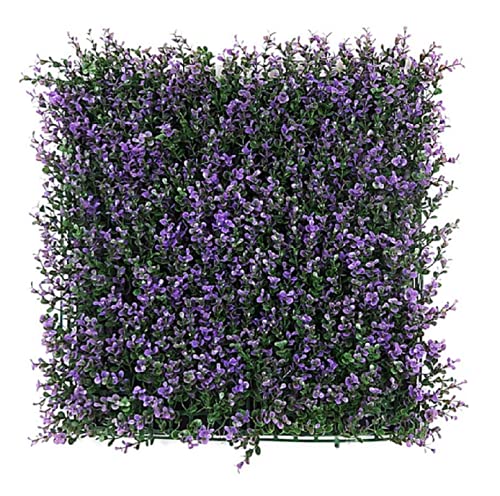 See full amazon price history chart for BeautifulWalls Artificial Wall Grass for Home Decoration (1 Pc) I Grass Mat for Wall I Vertical Garden Artificial Wall Plants (Purple, 50cm X 50cm X 8cm, Pack of 1) BeautifulWalls Artificial Wall Grass for Home Decoration (1 Pc) I Grass Mat for Wall I Vertical Garden Artificial Wall Plants (Purple, 50cm X 50cm X 8cm, Pack of 1) (B09HNQ9MZB) Amazon Price History, Amazon Price Tracker
