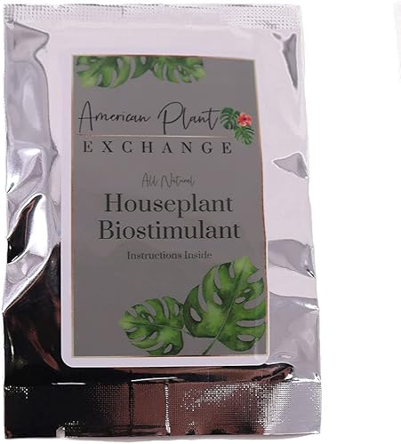 AMERICAN PLANT EXCHANGE Alimento para plantas de interior (TABS), fertilizante orgánico para plantas de interior para follaje y comestibles, 2