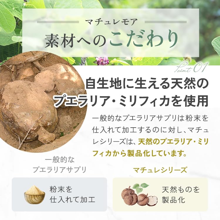 Amazon.co.jp: プエラリア マチュレ・モア 100㎎ 純天然 プエラリア