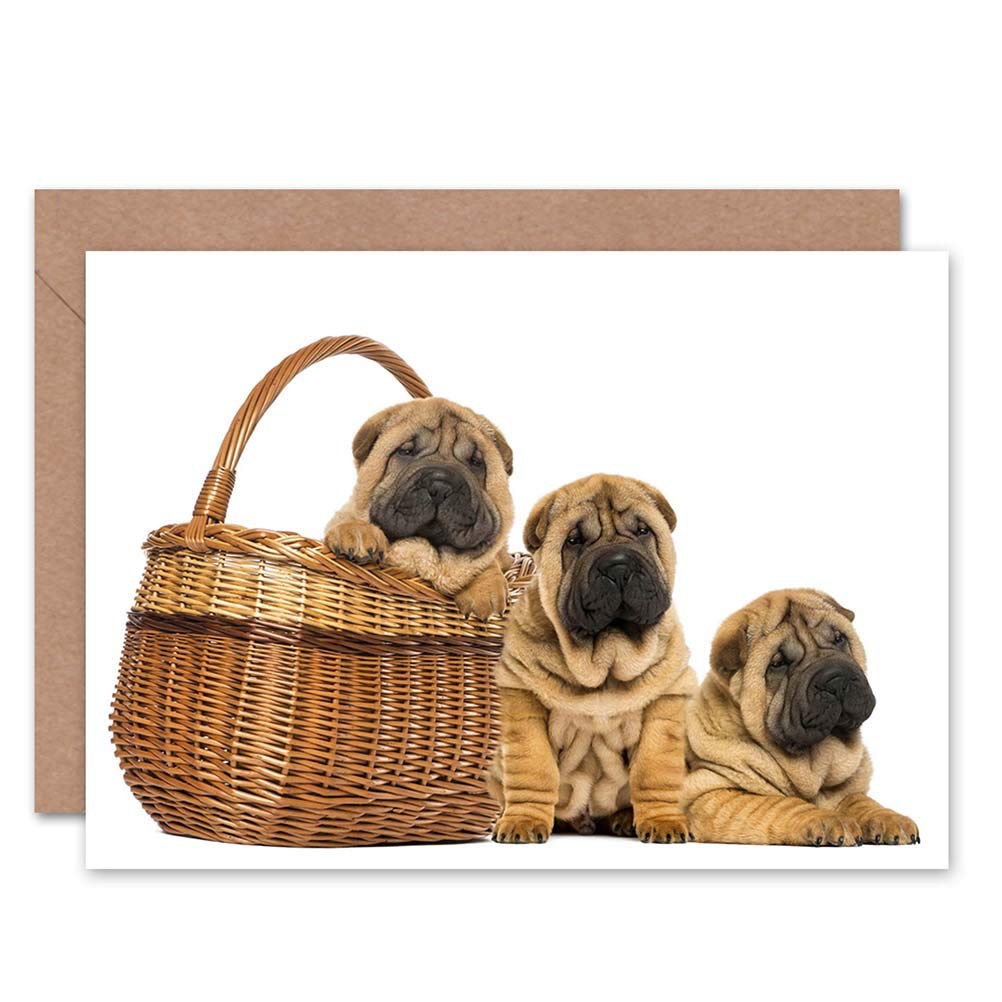 Wee Blue Coo CARD GREETING SHARPEI PUPPY DOGS BASKET