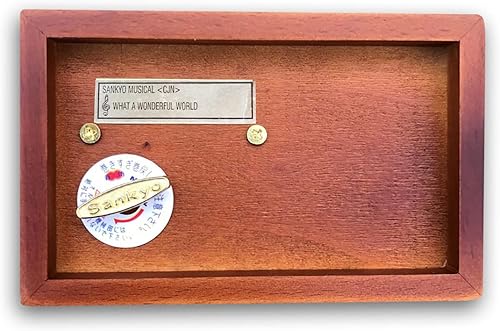 Miniatura 5 de BinkeGG Caja de joyería de madera ahueca hacia fuera cuerda caja de música con mecanismo musical Sankyo Tune Qué mundo tan maravilloso
