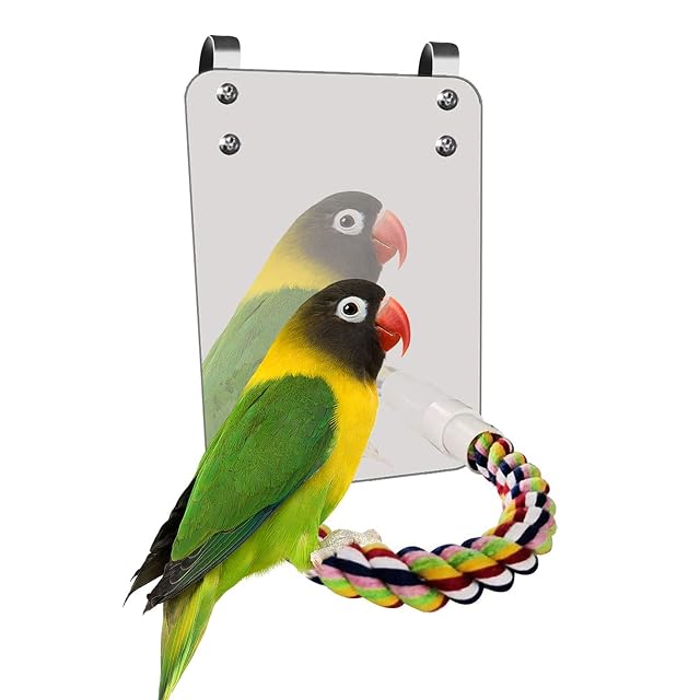 Esoes - Juego de Espejos para pájaros con Cuerda para perchar, con Soporte de Espejo, Colorido, para Loros…