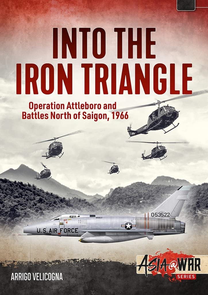 Into the Iron Triangle by Arrigo Velicogna (Paperback Book)