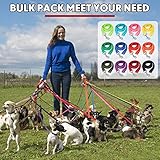 Hundeleine, Nylon, 152 cm, 12 Farben, Welpenleine, Lange Leine, Welpen-Zugseil für kleine, mittelgroße Hunde, Training, Spielen, Camping oder Hinterhof, leuchtende Farben, 12 Stück