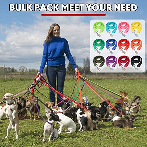 Hillban 36 Pcs Dog Leash Bulk 5 ft Multicolored Puppy Training Leash Slip Pet Traction Nylon Rope for Small Medium Dogs Agility, Yard, Camping, Backyard Play(12 Colors)