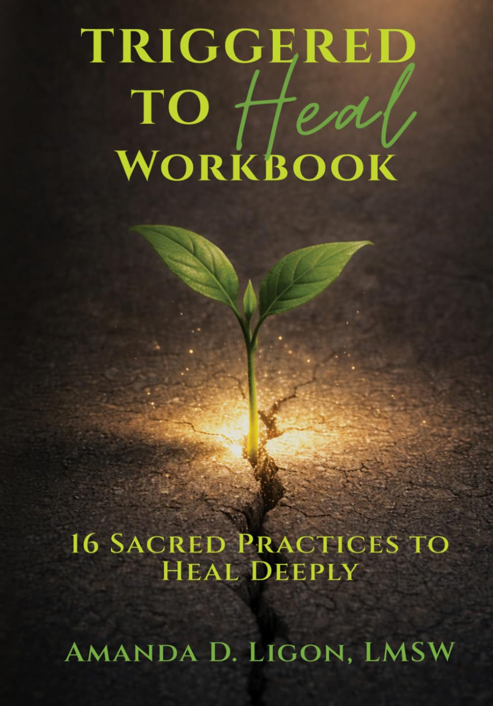 Triggered to Heal Workbook: 16 Sacred Practices to Heal Deeply