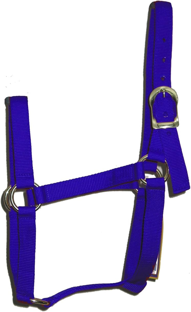 Animal Legends 1-Inch Polypropylene Halter for 800 to 1100-Pound Horse, Average, Blue