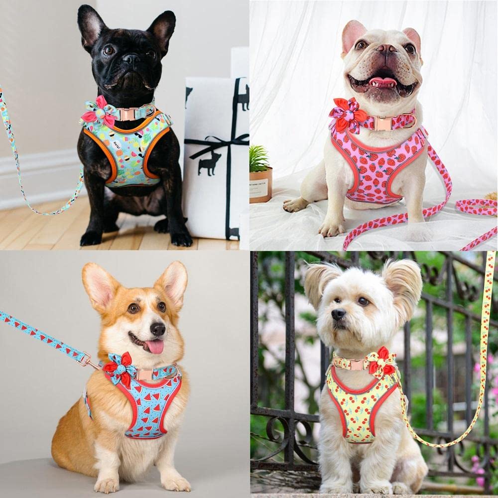 Correa para Mascotas, Juego de arneses para Perros y Gatos, Collar con Estampado Azul, Correa Personalizada para pasear Mascotas (S)