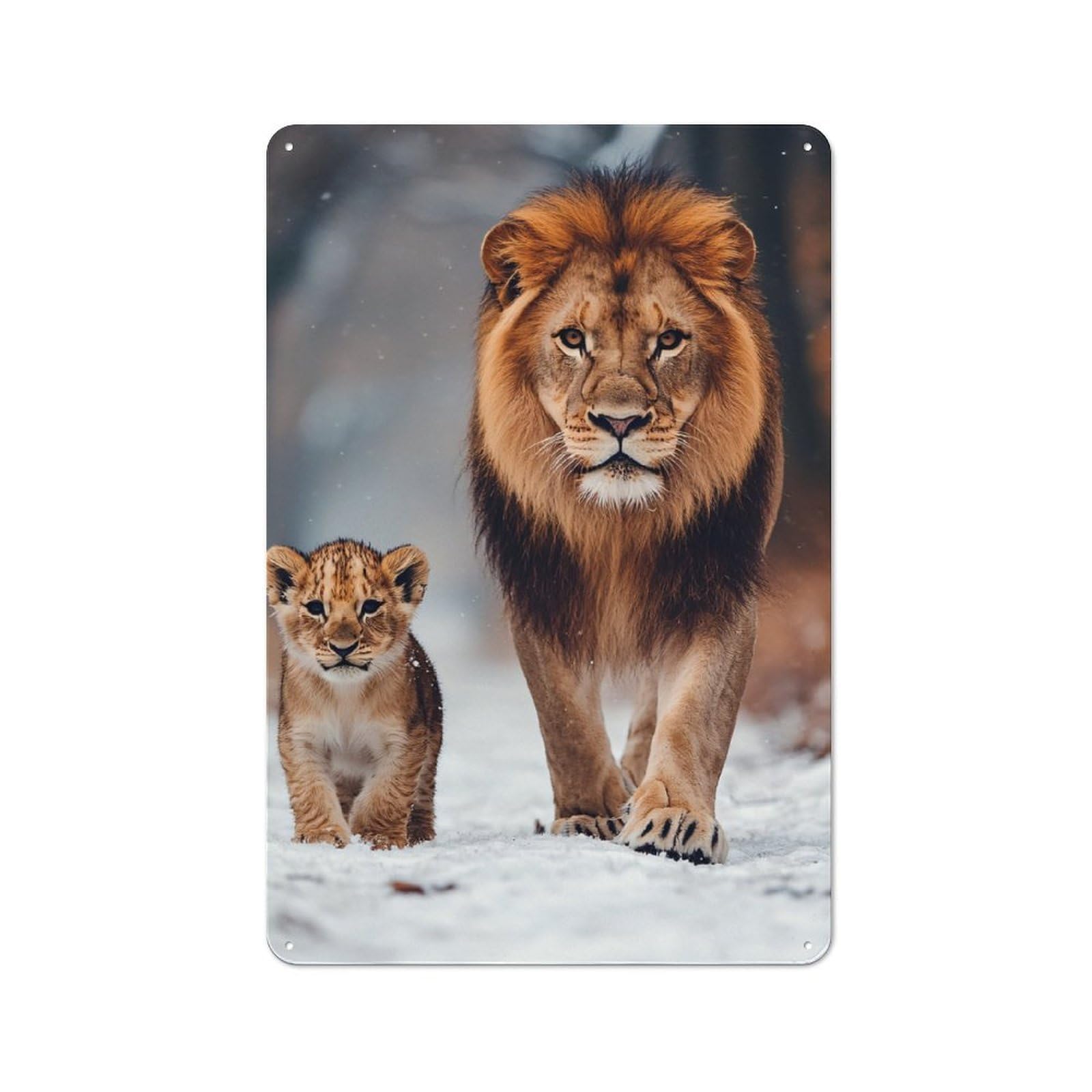 Metal Wall Sign 30x20cm Featuring Lion And Cub in Snow for Café Or Home Bar, for Collectors Decorating Cafés And Home Bars